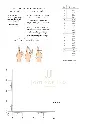 1.Ring Size.webp