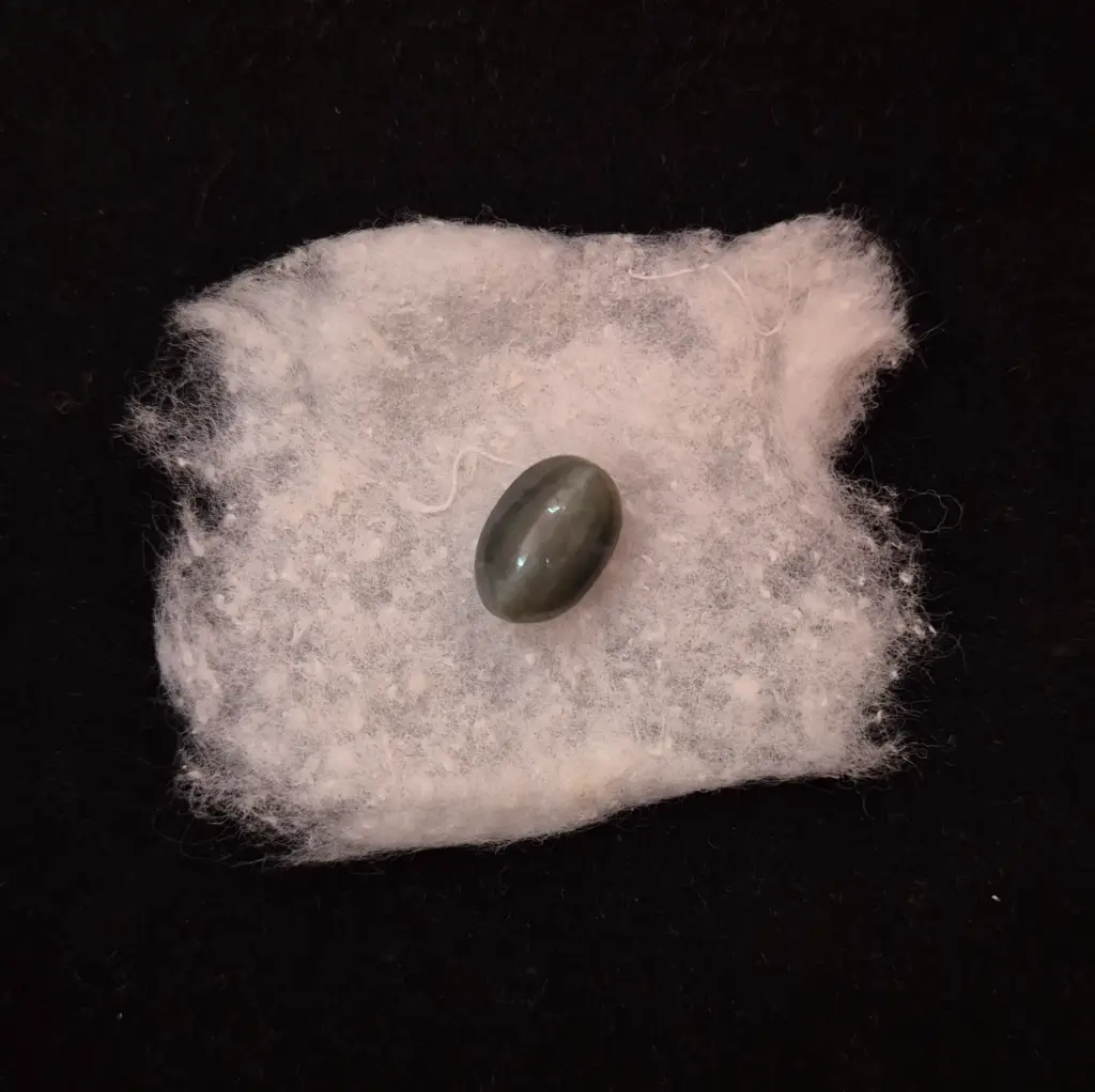  Cat's Eye (Lahsunia)